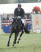 ultime_espoir_v._chellano_z_with_rider_denis_huser_at_the_young_horses_championships_in_ermelo