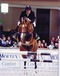 lupicor_and_ben_schröder_at_the_international_showjumping_show_in_frankfurt