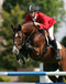 stallion_lupicor_in_la_baule_with_marco_kutscher
