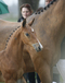 lesprit_foal_at_the_2009_stallion_show_at_the_wiemselbach.jpg